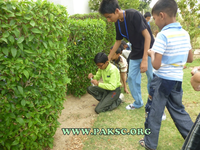 Tips for writing your first scientific literature review article